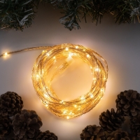 Гирлянда «Нить» 10 м роса, IP44, медная нить, 100 LED, свечение тёплое белое, мерцание, 220 В Гирлянда «Нить» 10 м роса, IP44, медная нить, 100 LED, свечение тёплое белое, мерцание, 220 В