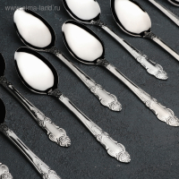 Ложки столовые из нержавеющей стали &laquo;Русиано&raquo;, длина 19 см, 12 шт