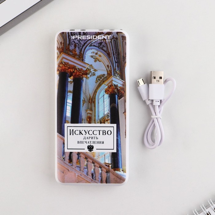 Зарядное устройство &laquo;Искусство&raquo;, 8000мА,модель PB-21, 14,5 х 6,9 см