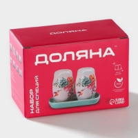 Набор для специй Доляна &laquo;Гранат&raquo;, 2 предмета: солонка, перечница, 130 мл