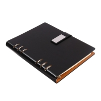 Органайзер на кольцах, обложка ПВХ, А5, 140 листов в клетку, с хлястиком, МИКС Органайзер на кольцах, обложка ПВХ, А5, 140 листов в клетку, с хлястиком, МИКС