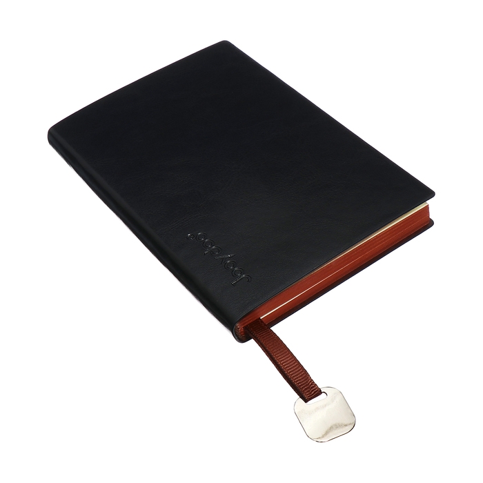 Органайзер, А6, 116 листов, клетка, обложка кожзам, коричневый срез, черный Органайзер, А6, 116 листов, клетка, обложка кожзам, коричневый срез, черный