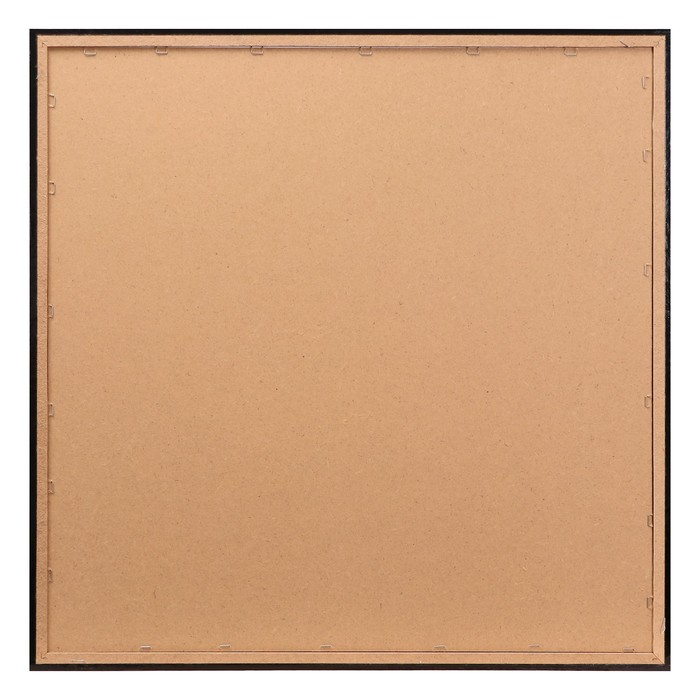 Картина "Белая орхидея" 75*75 см рамка микс