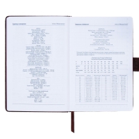 Ежедневник недатированный, обложка ПВХ, формат А5, 140 листов в клетку, на кнопке, рептилия, МИКС Ежедневник недатированный, обложка ПВХ, формат А5, 140 листов в клетку, на кнопке, рептилия, МИКС