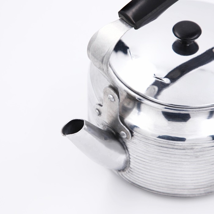 Чайник &laquo;Полированный&raquo;, 2 л