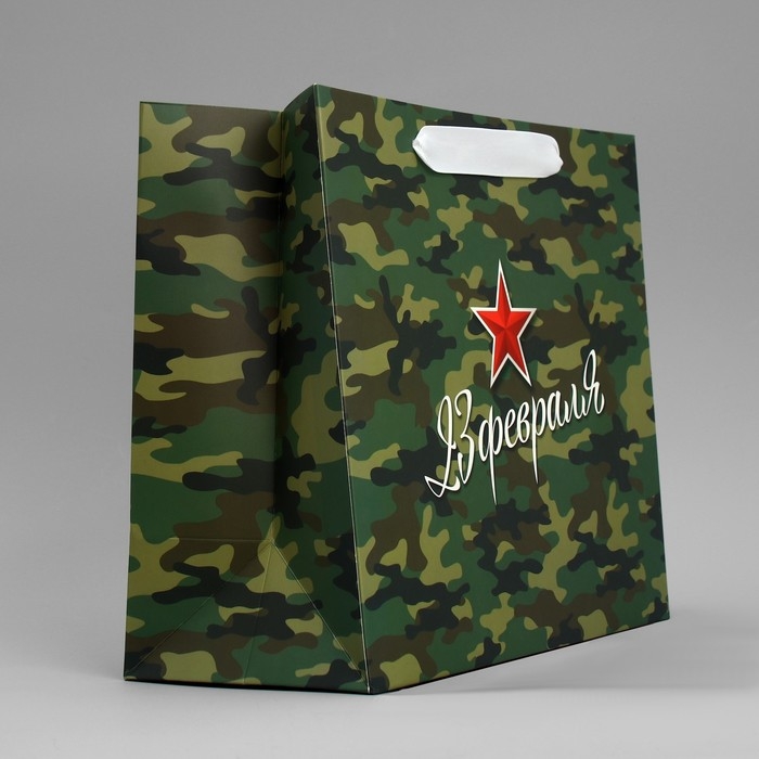 Пакет подарочный ламинированный горизонтальный, упаковка, &laquo;Звезда&raquo;, ML 27 х 23 х 11.5 см