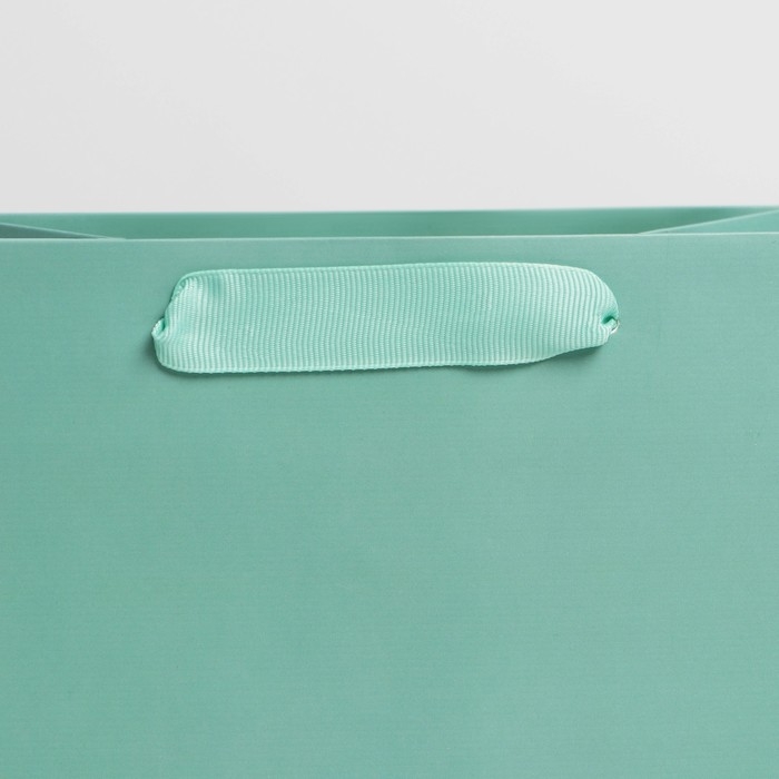 Пакет подарочный ламинированный, упаковка, &laquo;Тиффани&raquo;, MS 18 х 23 х 10 см