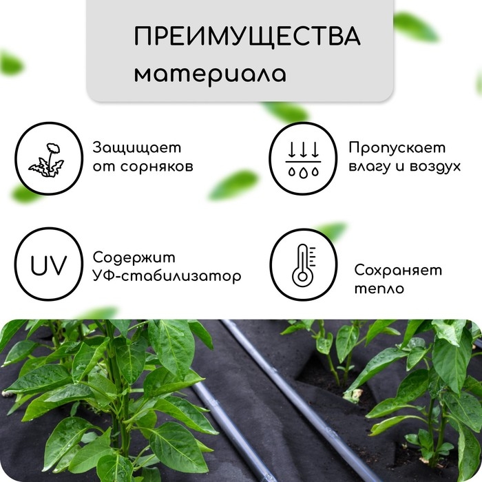 Материал мульчирующий, с перфорацией, 5 &times; 1,6 м, плотность 80 г/м&sup2;, спанбонд с УФ-стабилизатором, чёрный, Greengo, Эконом 30%