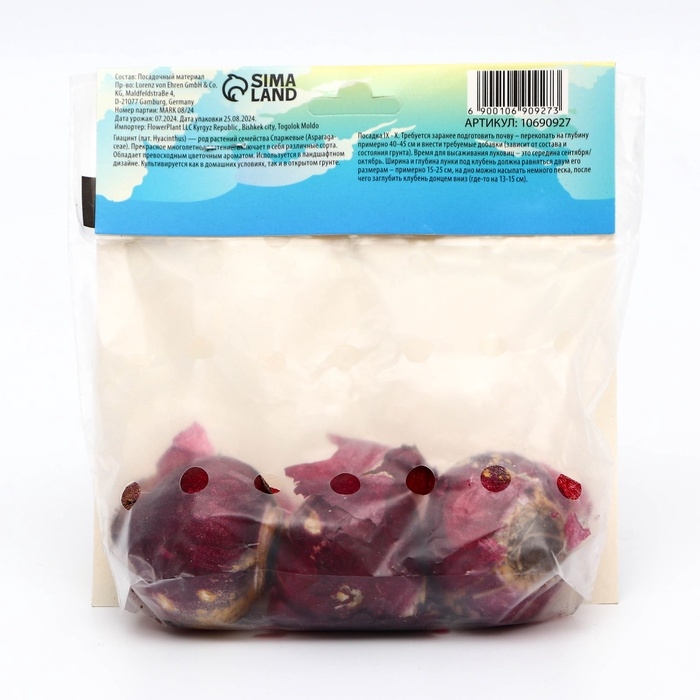 Гиацинт Сплендид Корнелия, р-р 14/15, 3шт, Осень 2024 Гиацинт Сплендид Корнелия, р-р 14/15, 3шт, Осень 2024