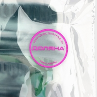 Набор пакетов для хранения сыпучих продуктов Доляна &laquo;Листья&raquo;, застёжка zip-lock, 3 шт, 15&times;10 см, 20&times;13 см, 24,5&times;16,5 см, цвет зелёный