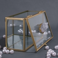 Органайзер для хранения &laquo;MOUNTAINS&raquo;, с крышкой, стеклянный, с зеркальным дном, 1 секция, 14,5 &times; 8,5 &times; 6 см, цвет прозрачный/медный