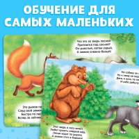 Книга картонная &laquo;Пушистые загадки&raquo;, 10 стр.