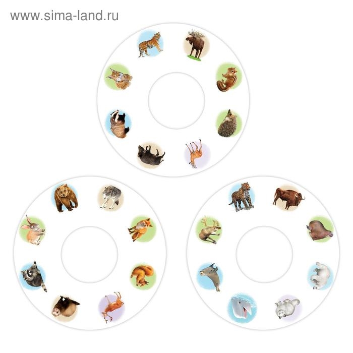 Слайды для проектора &laquo;Животные России&raquo;, набор, 3 слайда, 24 картинки