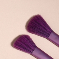 Набор кистей для макияжа, 6 предметов, PVC-пакет, цвет фиолетовый Набор кистей для макияжа, 6 предметов, PVC-пакет, цвет фиолетовый