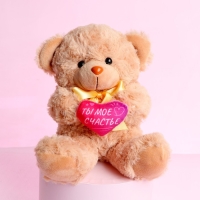 Мягкая игрушка &laquo;Ты - моё счастье&raquo;, медведь, 22 см, МИКС