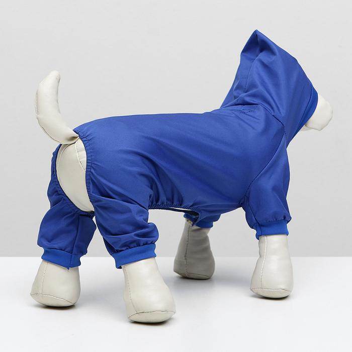 Комбинезон для животных, без подклада, XL, ДС 32-34, ОШ 32, ОГ 46-48 см, синий