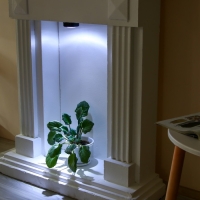 Ночник-пушлайт "Квадрат" 4хLED, 3ААА черный 6,5х6,5х2,5 см RISALUX Ночник-пушлайт "Квадрат" 4хLED, 3ААА черный 6,5х6,5х2,5 см RISALUX