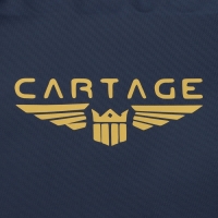 Термосумка Cartage Т-24, темно-синяя, 30 л