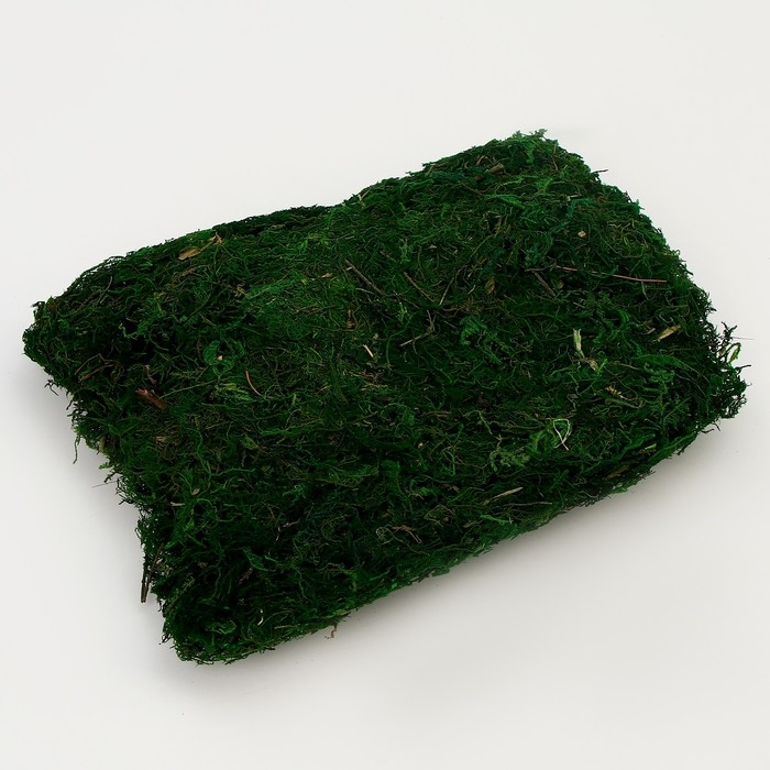 Мох для декора, 80 г, размер: 3 &times; 20 &times; 15 см