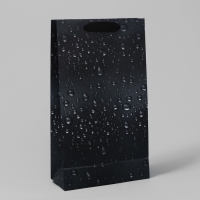 Пакет подарочный под две бутылки, упаковка, Black, 35 х 20 х 9 см Пакет подарочный под две бутылки, упаковка, Black, 35 х 20 х 9 см
