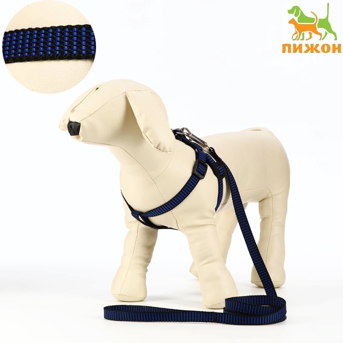 Комплект амуниции рельефный, поводок 120 х 1,5 см, ОГ 36-49 см, сине-чёрный Комплект амуниции рельефный, поводок 120 х 1,5 см, ОГ 36-49 см, сине-чёрный