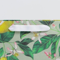 Пакет подарочный крафтовый горизонтальный, упаковка, &laquo;Лимончики&raquo;, M 30 х 26 х 9 см