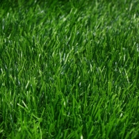 Газон искусственный, для спорта, ворс 50 мм, 1 &times; 2 м, зелёный, Greengo
