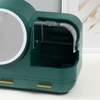 Шкатулка для косметики пластик, зеркало с подсветкой "Тёмно-зелёная" 37,5х22х31 см Шкатулка для косметики пластик, зеркало с подсветкой "Тёмно-зелёная" 37,5х22х31 см