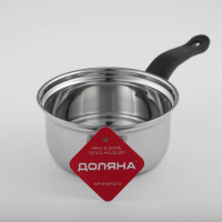 Сотейник из нержавеющей стали Доляна &laquo;Индия&raquo;, 900 мл, d=15,5 см, пластиковая ручка, цвет серебряный