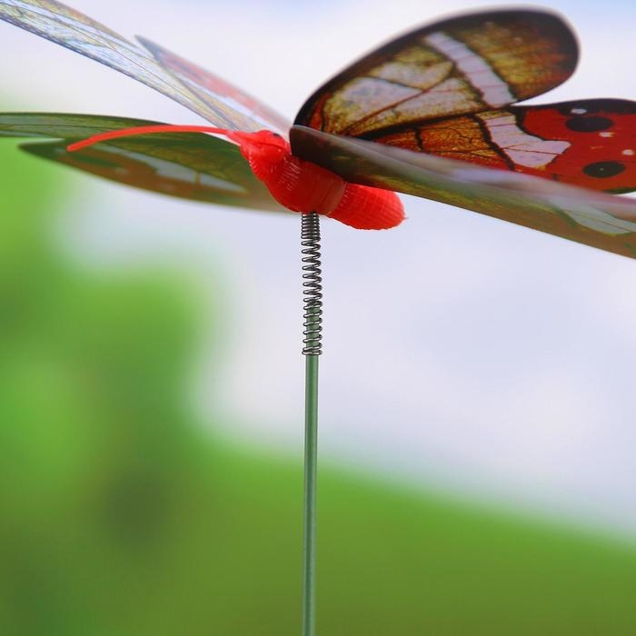 Штекер Штекер "Бабочка Верди" 20х14см/45см, МИКС