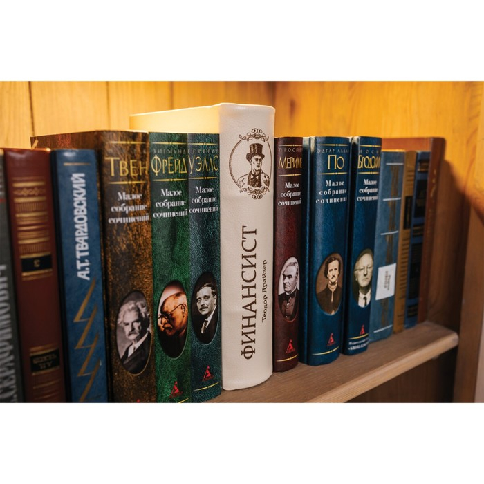 Сейф-книга "ФИНАНСИСТ", 5,5х17х24 см, ключевой замок