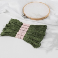 Набор ниток мулине №3363, 8 &plusmn; 1 м, 6 шт, цвет сосновый