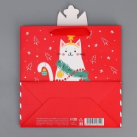 Пакет подарочный новогодний &laquo;С Новым годом!&raquo;, 22 х 22 х 10 см, Новый год