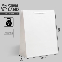 Пакет подарочный ламинированный, упаковка, &laquo;Белый&raquo;, ML 21 х 25 х 8 см