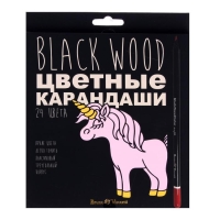 Карандаши 24 цвета BlackWoodColor, пластиковые, трёхгранные, МИКС Карандаши 24 цвета BlackWoodColor, пластиковые, трёхгранные, МИКС