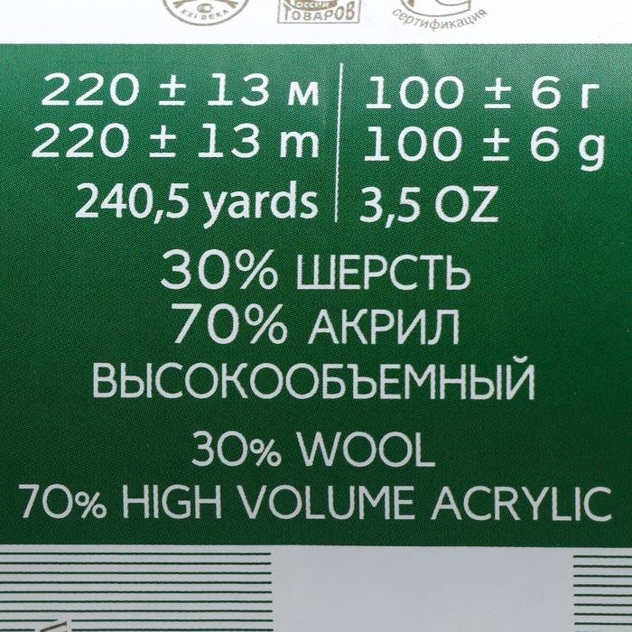 Пряжа Пряжа "Народная" 30% шерсть, 70% акрил объёмный 220м/100гр (478-Защитный)