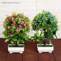 Бонсай в горшке "Деревце с мелкими цветами" 10х25 см, микс Бонсай в горшке "Деревце с мелкими цветами" 10х25 см, микс