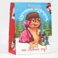 Пакет подарочный новогодний ламинированный &laquo;Лучший подарок&raquo;, MS 18 х 23 х 10 см, Новый год