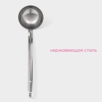 Половник из нержавеющей стали Доляна Everyday, 250 мл, 44&times;10,5 см, цвет серебряный
