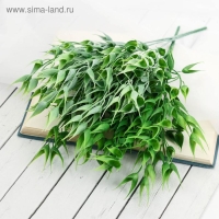 Букет "Остроконечник" 32 см, микс Букет "Остроконечник" 32 см, микс