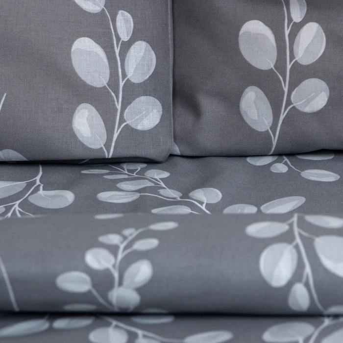 Постельное бельё Этель евро &laquo;Эвкалипт&raquo; 200*217 см, 220*240 см, 70*70 см - 2 шт