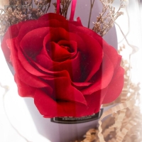 Ночник "Колба с розой в букете" LED 3ААА МИКС 23х11х11 см RISALUX Ночник "Колба с розой в букете" LED 3ААА МИКС 23х11х11 см RISALUX