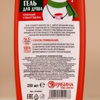 Новый Год. Гель для душа, 250 мл, аромат пряного глинтвейна