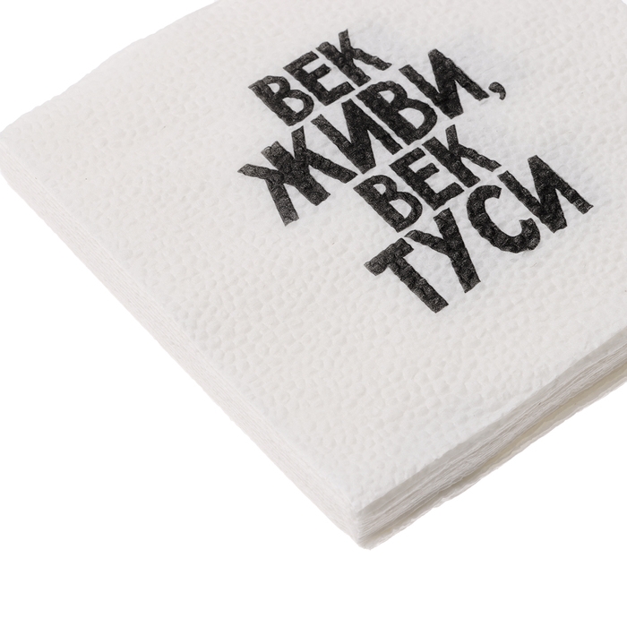 Салфетки бумажные однослойные Салфетки бумажные однослойные "Век живи, век туси" 24х24 см, набор 20 шт.