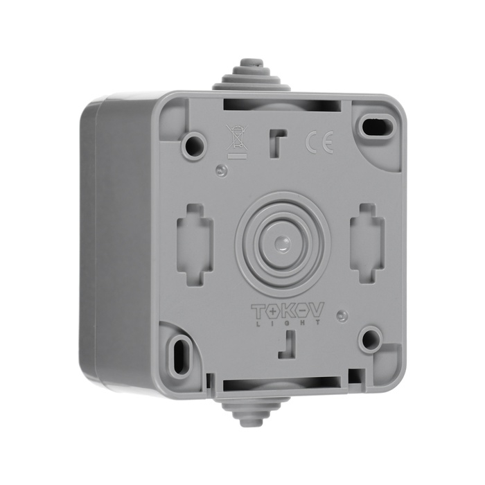 Выключатель 1-кл. ОП Dita IP54 10А 250В с индикацией сер. TOKOV ELECTRIC TKL-DT-V1I-C06-IP54 1040468