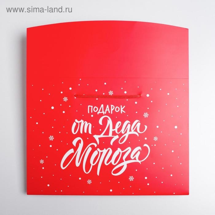 Пакет-коробка &laquo;Подарок&raquo;, 28 х 20 х 13 см, Новый год