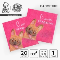 Салфетки бумажные &laquo;С Днём Рождения&raquo;, пёсель, 24 х 24 см, 20 шт