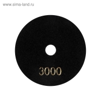 Алмазный гибкий шлифовальный круг ТУНДРА "Черепашка", для сухой шлифовки, 100 мм, № 3000 Алмазный гибкий шлифовальный круг ТУНДРА "Черепашка", для сухой шлифовки, 100 мм, № 3000