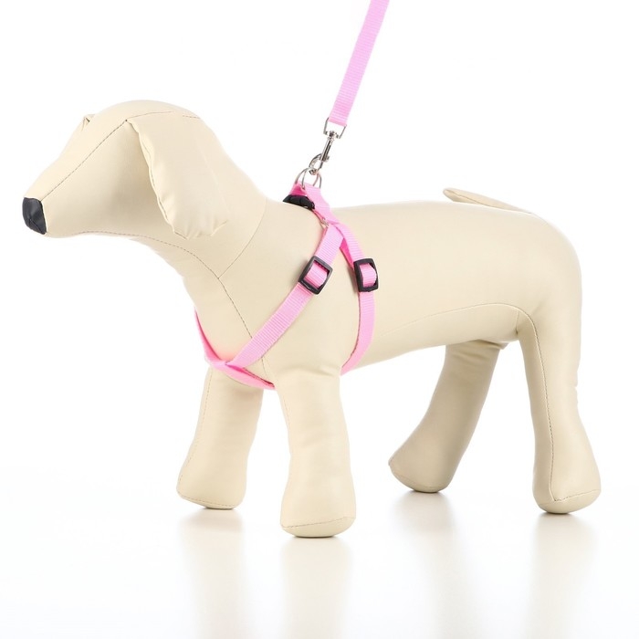 Комплект Комплект "Базис", поводок 120 х 1,5 см, шлейка 32-46 х 1,5 см, розовый