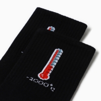 Носки мужские KAFTAN "Енот" р. 41-44 (27-29 см)